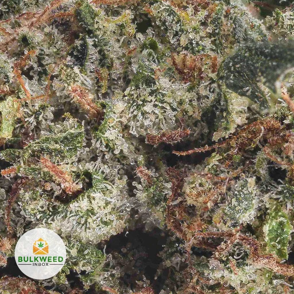 PINK-GAS-POPCORN-AAA2-2