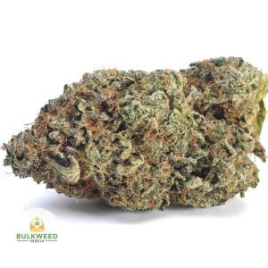 PLATINUM-DOSI-AAA1-2