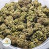 PURPLE-HAZE-AAA-2