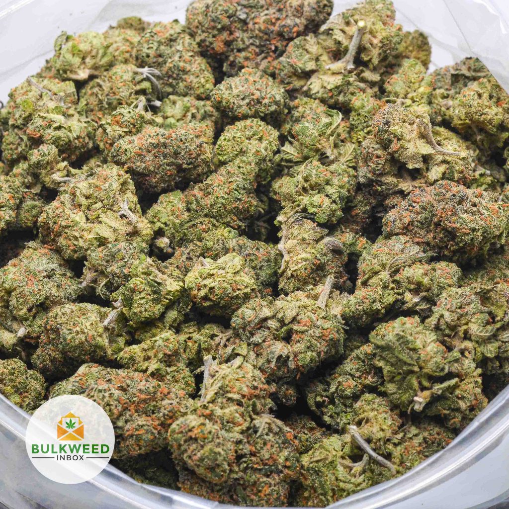 PURPLE-HAZE-AAA-2