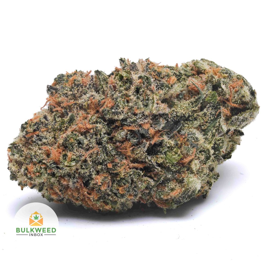 PURPLE-HAZE-AAA1-2