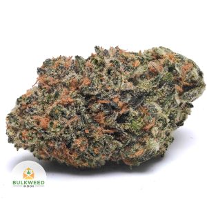 PURPLE-HAZE-AAA1-2