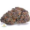 PURPLE-PUNCH-BBAAAA1-2