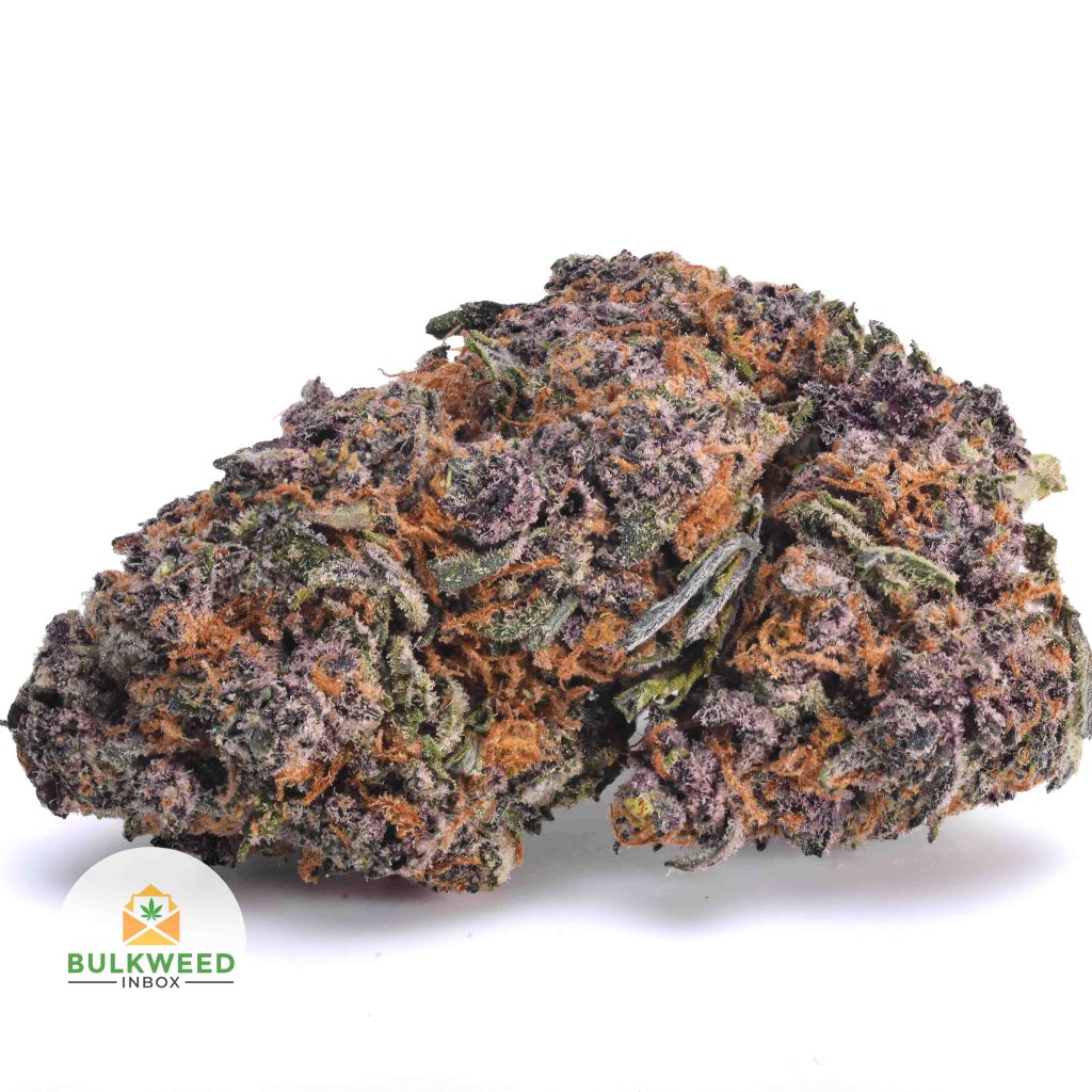 PURPLE-PUNCH-BBAAAA1-2