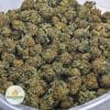 PURPLE-ROCKSTAR-POPCORN-AAA-2