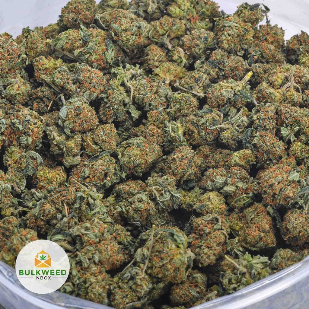 PURPLE-ROCKSTAR-POPCORN-AAA-2