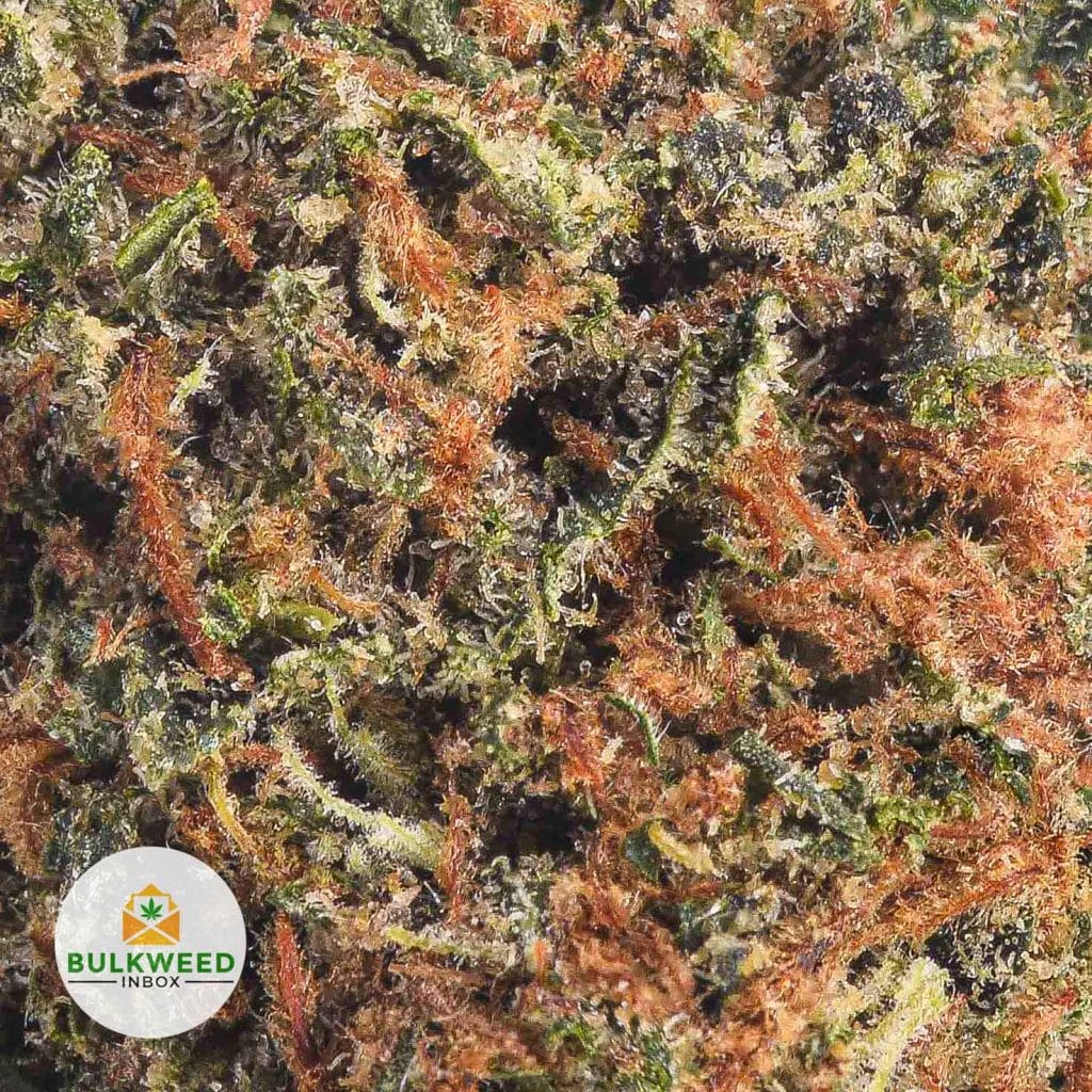 PURPLE-ROCKSTAR-POPCORN-AAA1-2-1