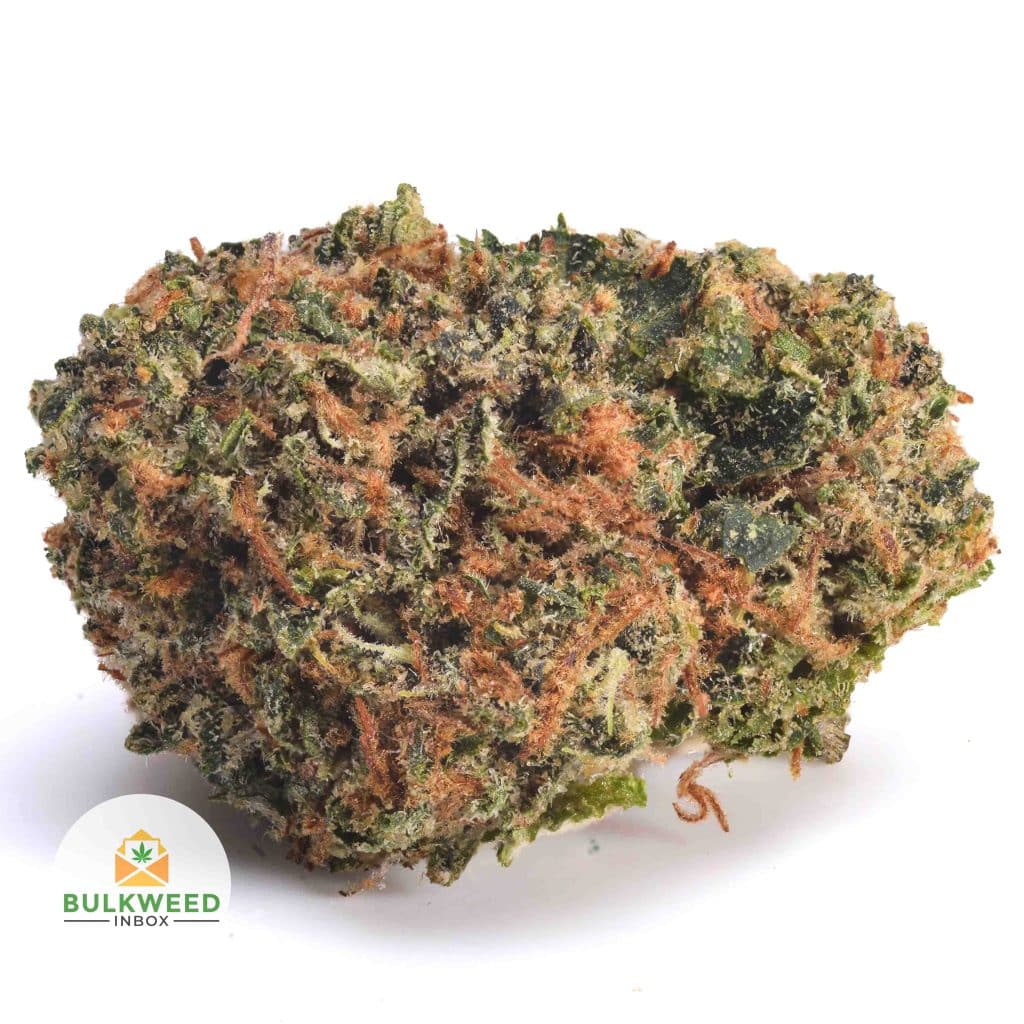 PURPLE-ROCKSTAR-POPCORN-AAA2-2