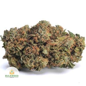 SFV-OG-AA1-2-1