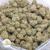 SKYWALKER-OG-AAA-2