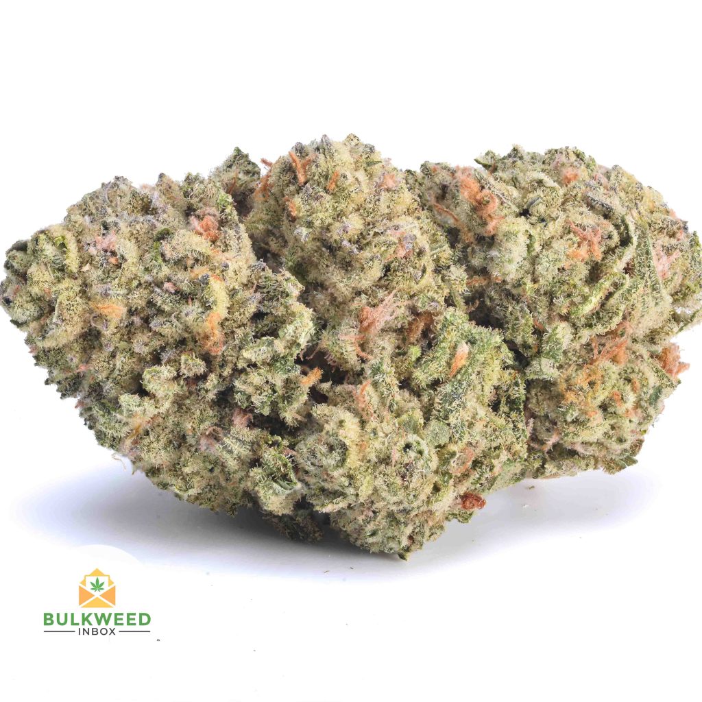 SKYWALKER-OG-AAA1-2