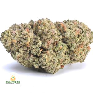 SKYWALKER-OG-AAA1-2
