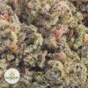 SKYWALKER-OG-AAA2-2