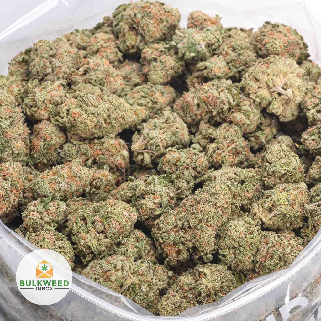 TAHOE-OG-AA-2