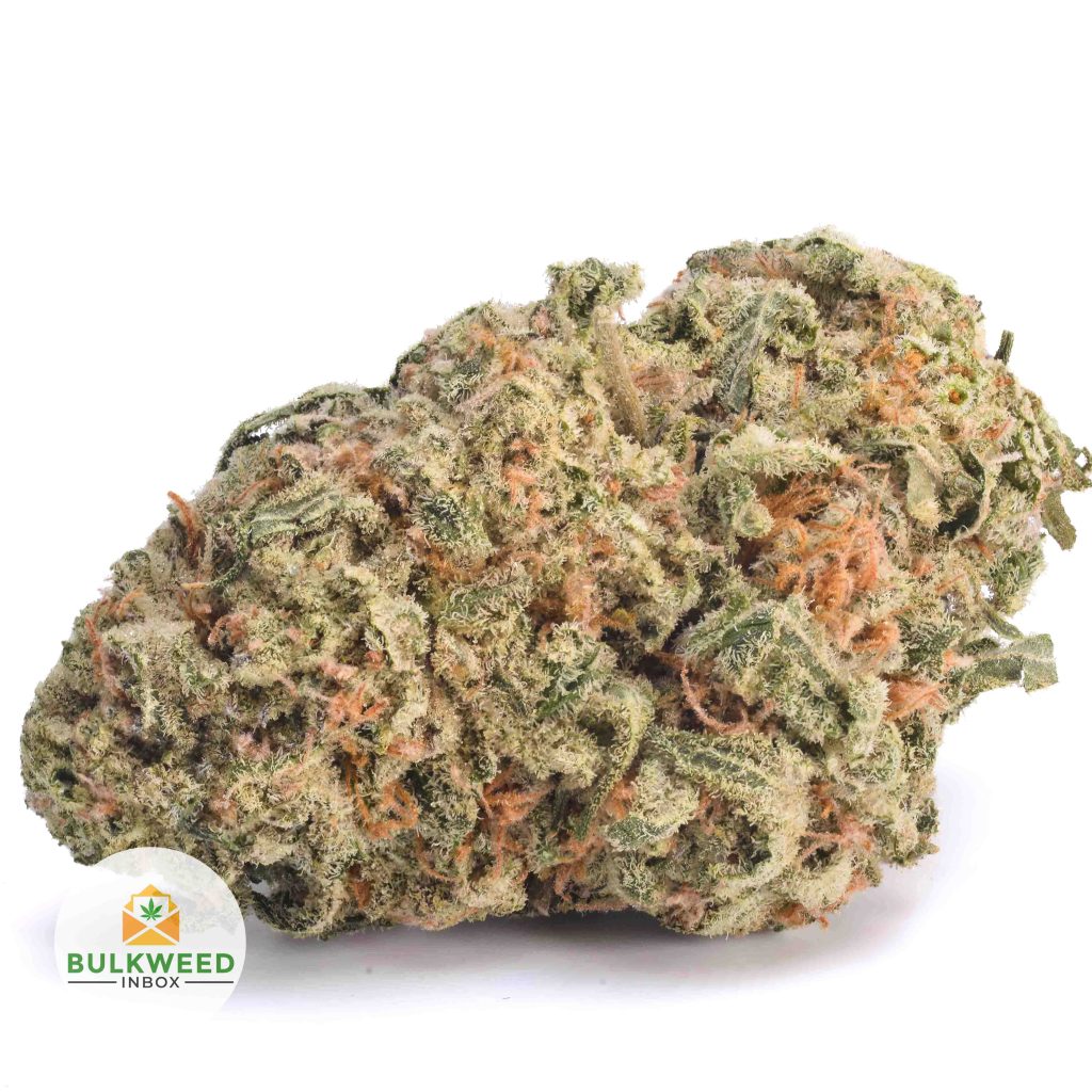 TAHOE-OG-AA1-2