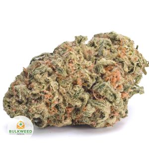 TAHOE-OG-AA1-2