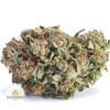 TRAINWRECK-BB1-2