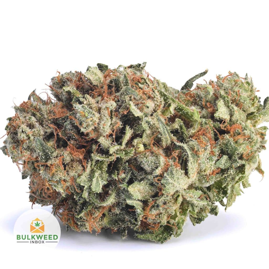 TRAINWRECK-BB1-2