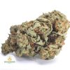 TROPIC-THUNDER-BB1-2