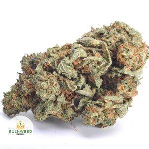 TROPIC-THUNDER-BB1-2