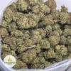 pink-tuna-aaa-2