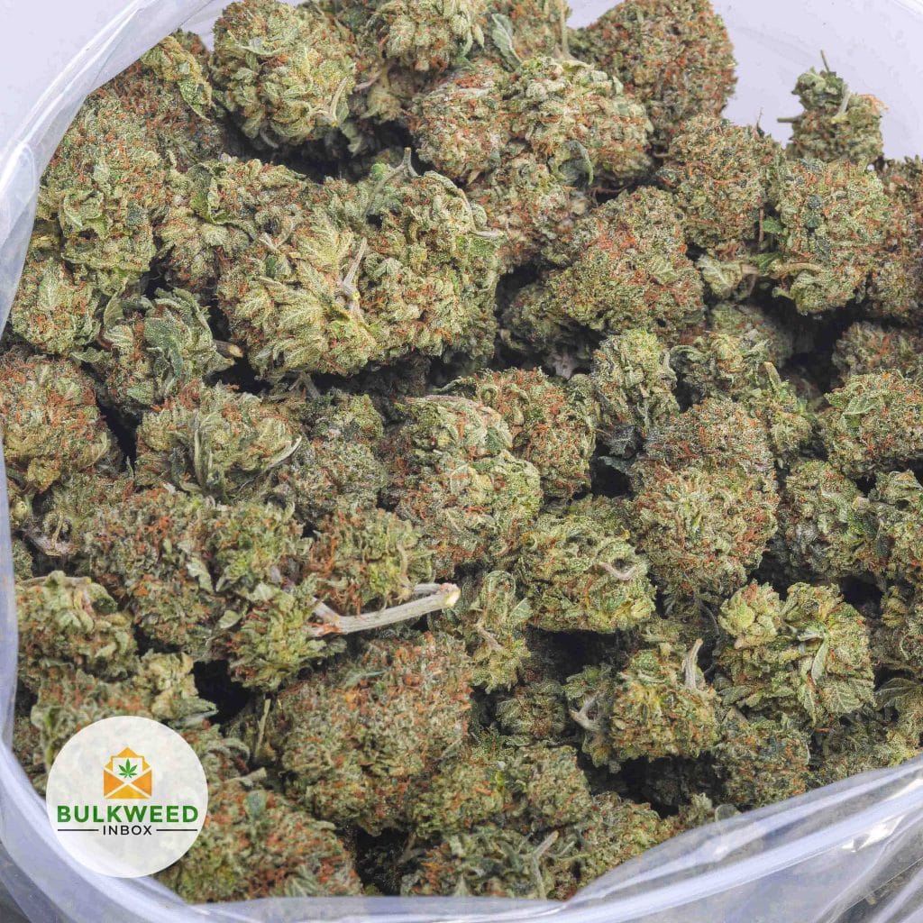 pink-tuna-aaa-2