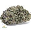 AMNESIA-HAZE-BBAAA1-2