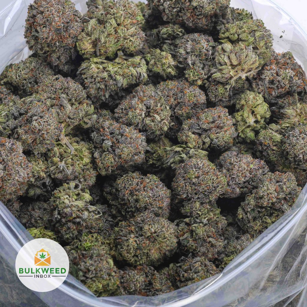 DEATH-BUBBA-AAAA-2