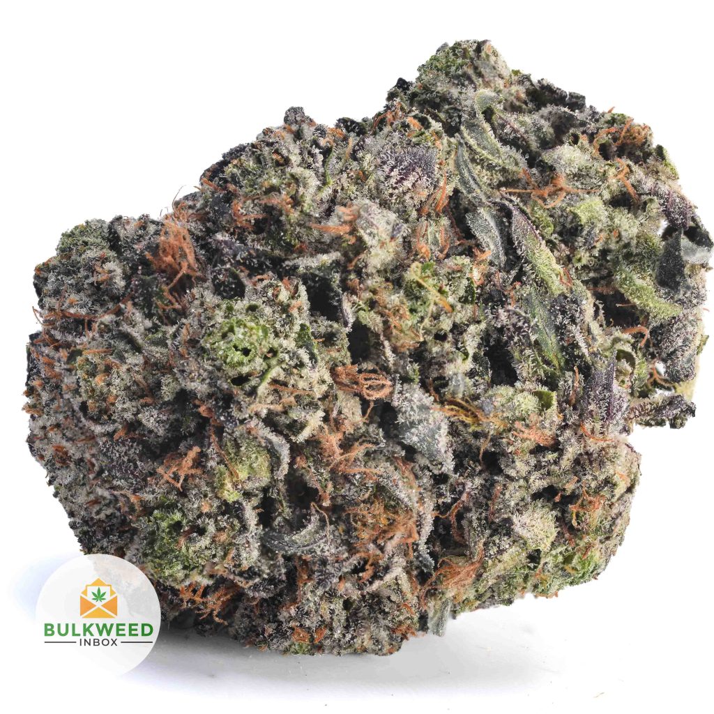 DEATH-BUBBA-AAAA1-2