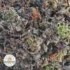 DEATH-BUBBA-AAAA2-2