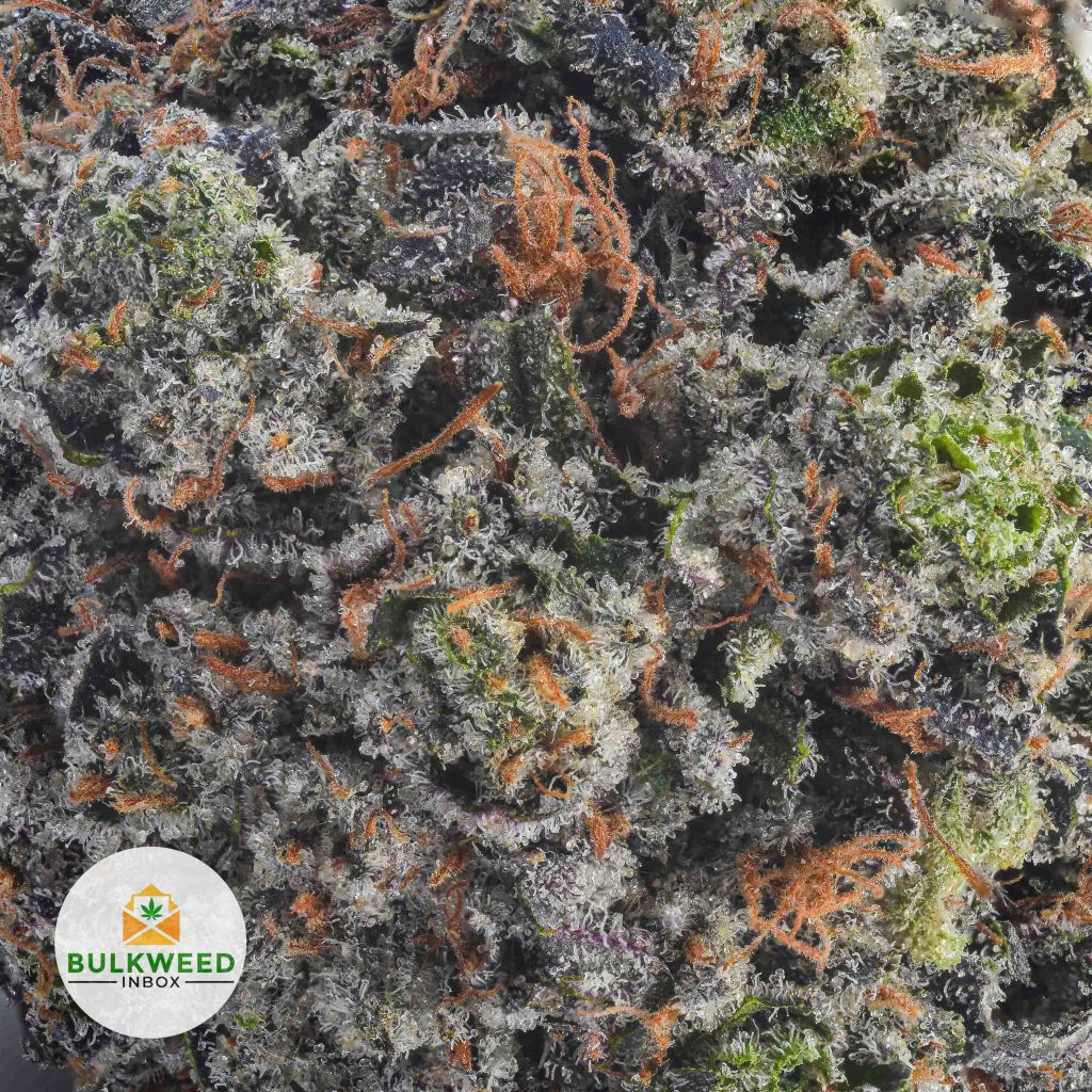 DEATH-BUBBA-AAAA2-2