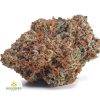 GORILLA-GLUE-AAA1-2