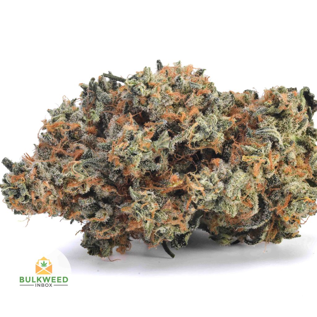 JET-FUEL-BB1-2