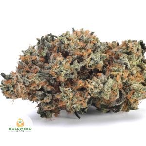 JET-FUEL-BB1-2
