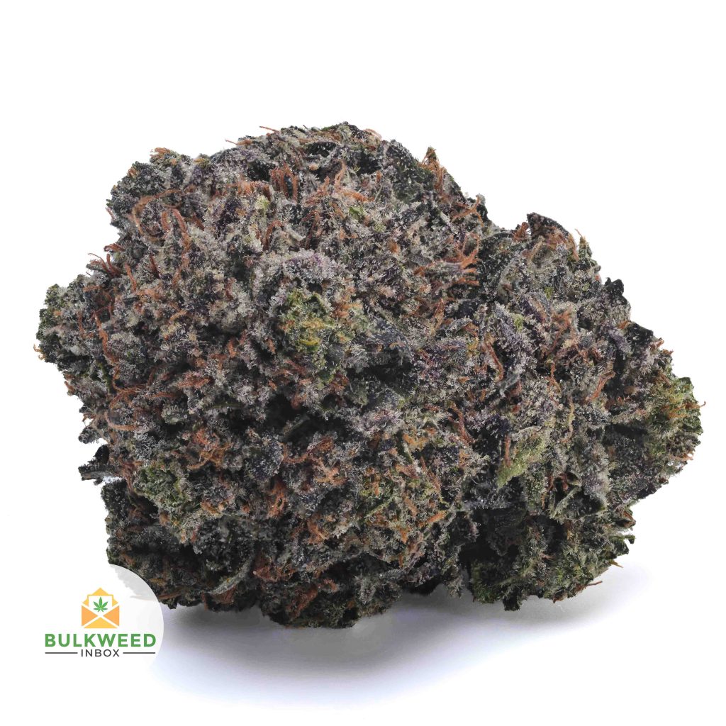 KING-LOUIS-XIII-AAA1-2-2