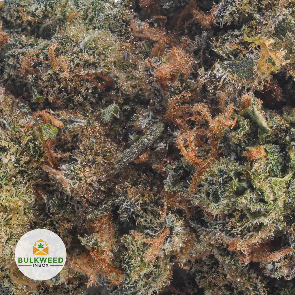 LEMON-SOUR-DIESEL-AA2-2