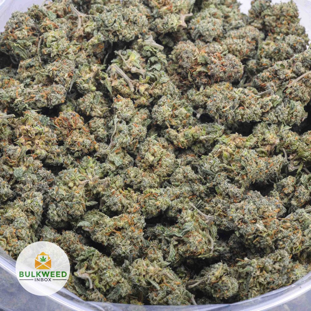 MAUI-WOWIE-POPCORN-AAA-2