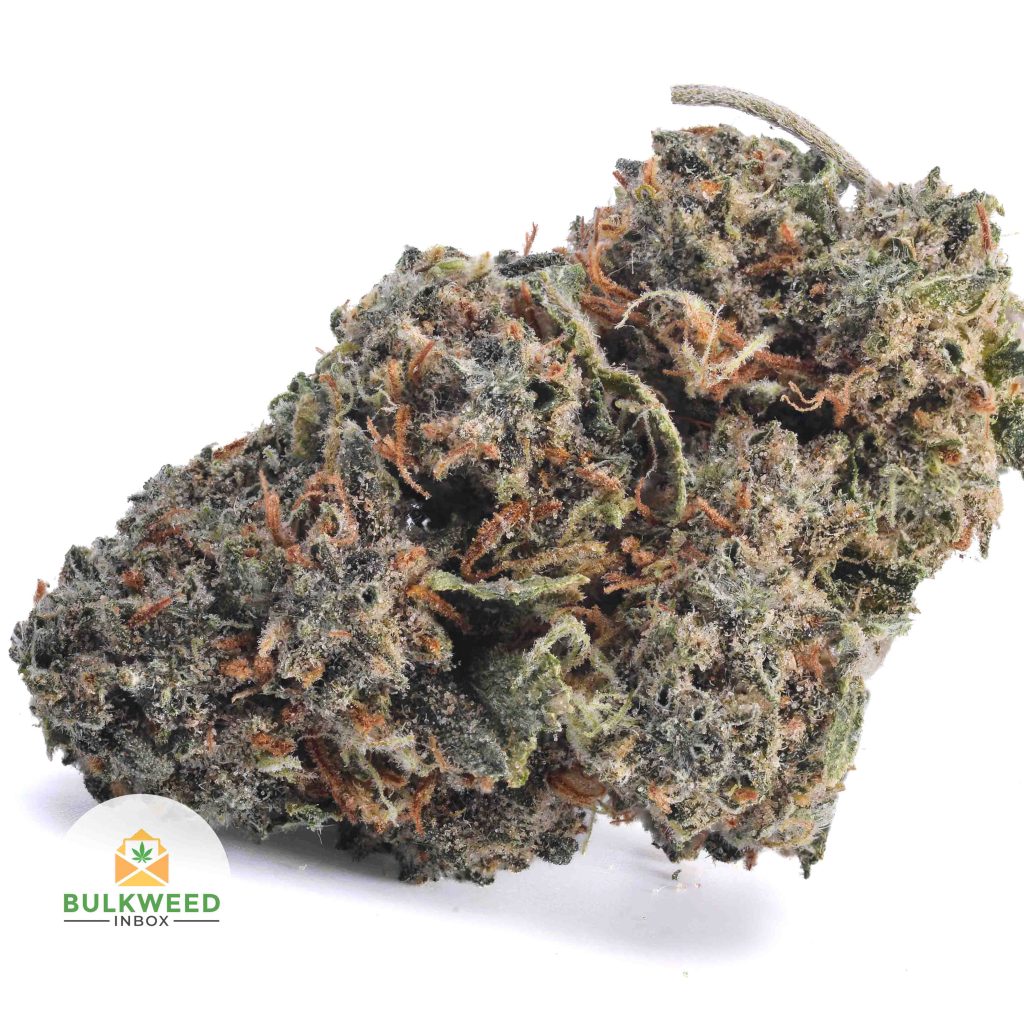 MAUI-WOWIE-POPCORN-AAA1-2