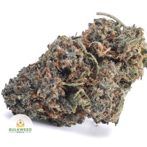 MAUI-WOWIE-POPCORN-AAA1-2
