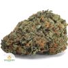 MOBY-DICK-BB1-2