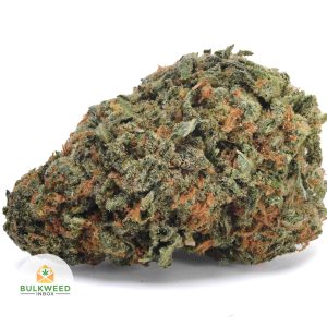 MOBY-DICK-BB1-2