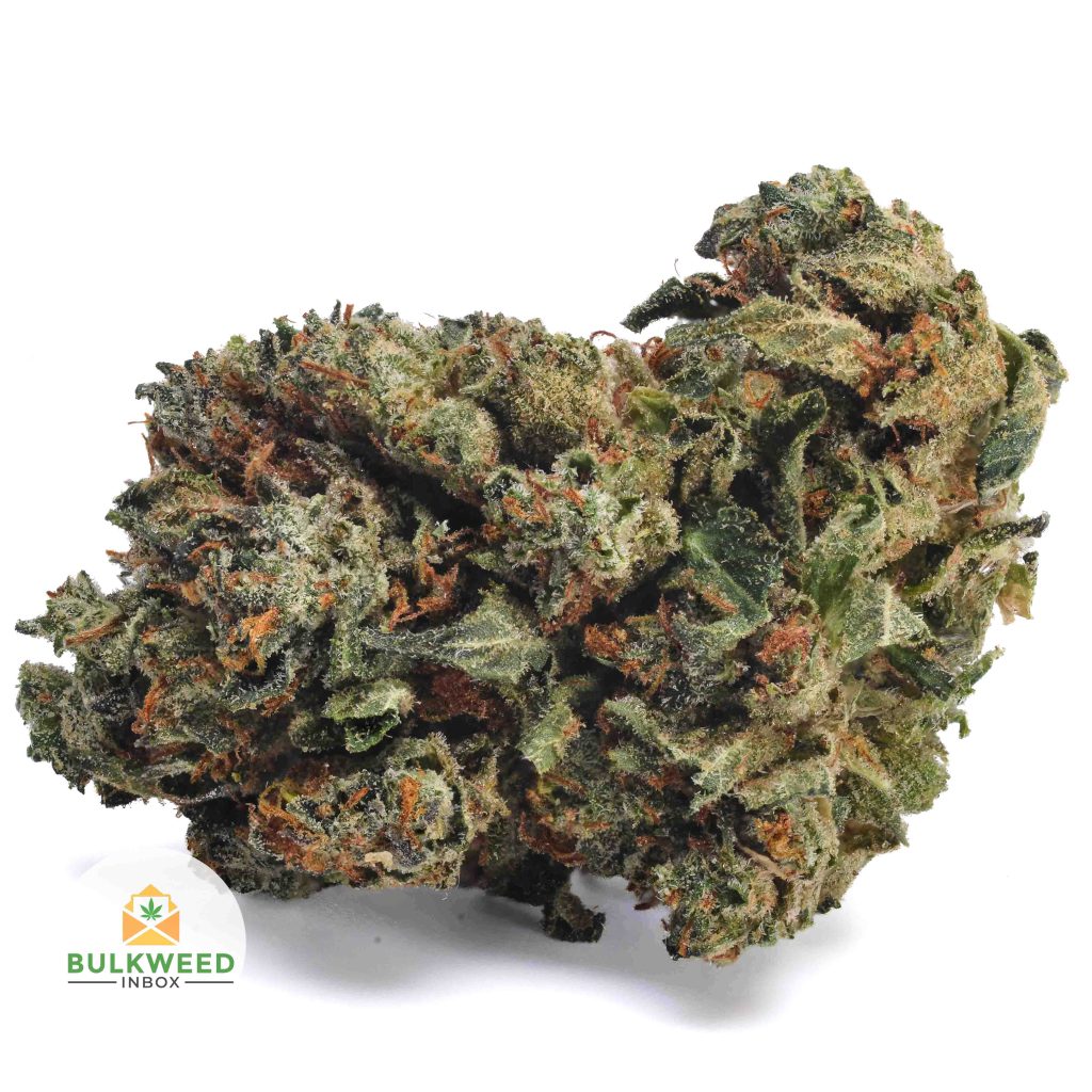 PINK-BUBBA-AA1-2