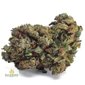 PINK-BUBBA-AA1-2