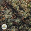 PINK-BUBBA-AA2-2