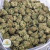 SUNSET-SHERBET-AAA-2