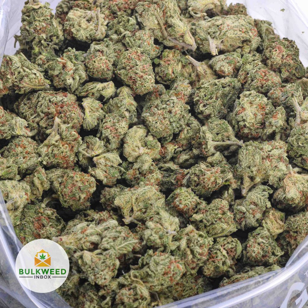 SUNSET-SHERBET-AAA-2