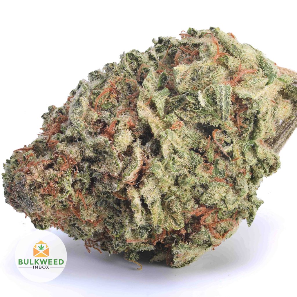 SUNSET-SHERBET-AAA1-2