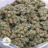 SUPER-SILVER-HAZE-BB-2