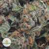 SUPER-SILVER-HAZE-BB2-2