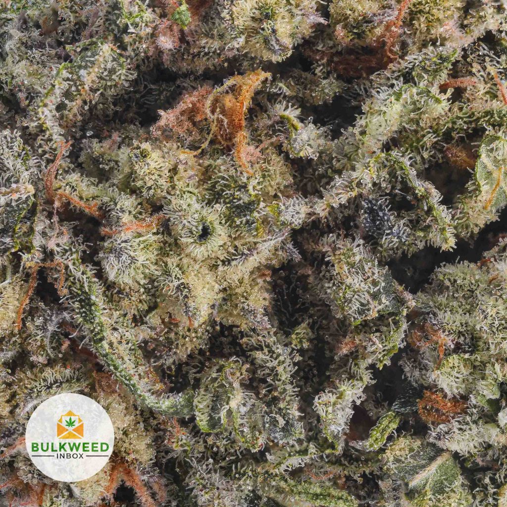 SUPER-SOUR-DIESEL-AAA2-2